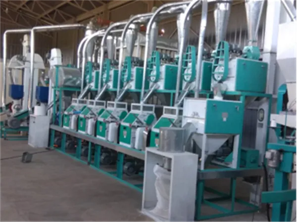 20-40 TPD Maize Flour Mill Plant