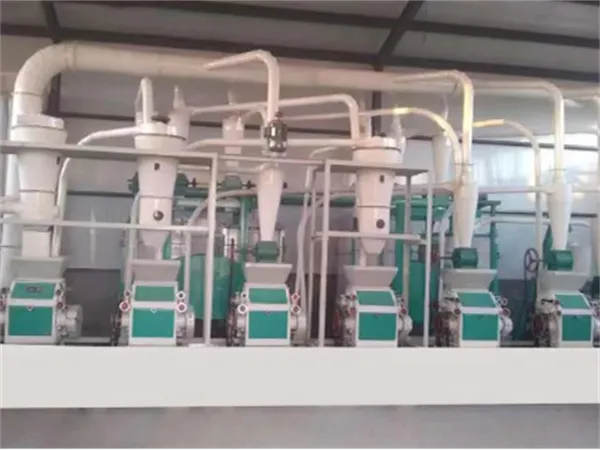 20-40 TPD Maize Flour Mill Plant