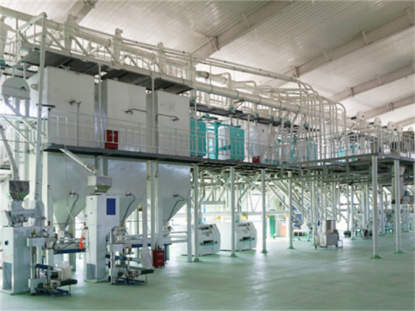 50-100 TPD Maize Flour Milling Plant