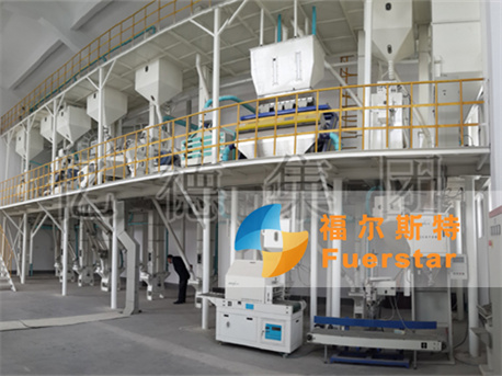 Rice Flour Mill Plant