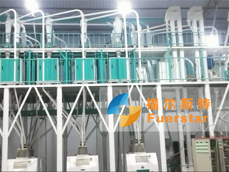 80 tpd maize flour mill plant in Ethiopia