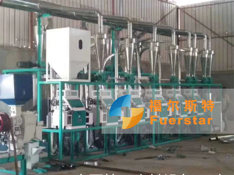 30TPD Maize Flour Milling Plant Setup In Angola