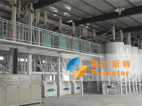 Maize Flour Mill Plant