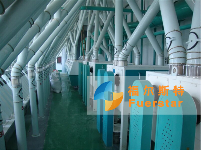 100-200TPD Maize Milling Plant