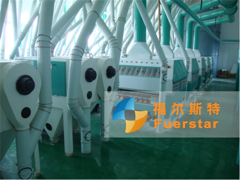 100-200TPD Maize Milling Plant