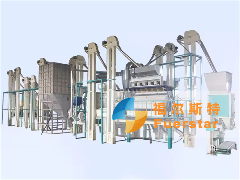 50-100 TPD Rice Flour Mill Plant