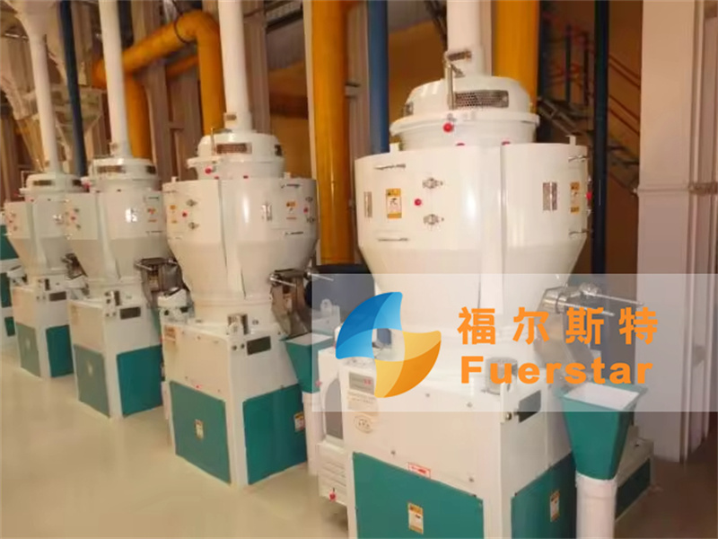 50-100 TPD Rice Flour Mill Plant