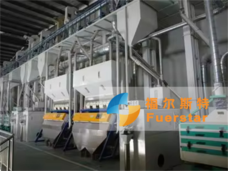 50-100 TPD Rice Flour Mill Plant