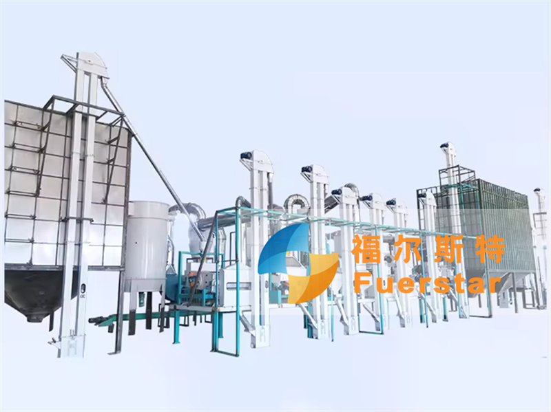 50-100 TPD Rice Flour Mill Plant