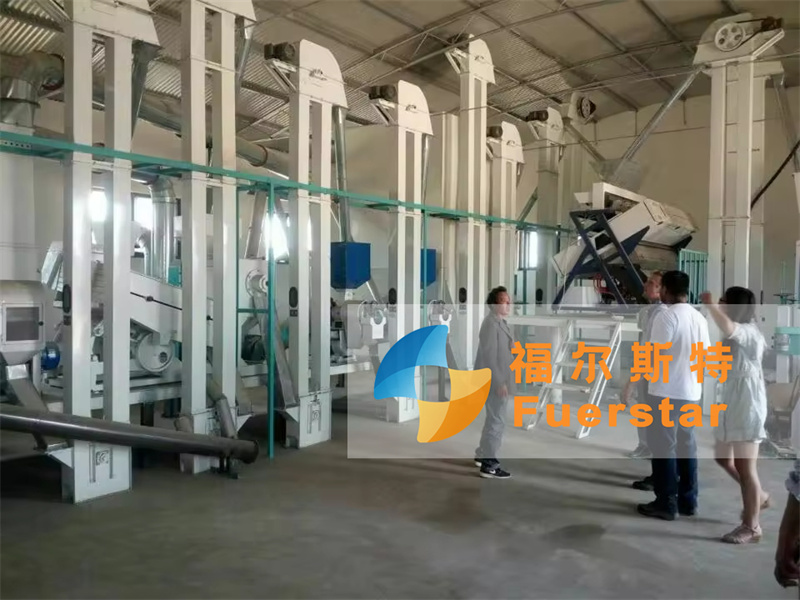 20-40 TPD Rice Flour Mill Plant